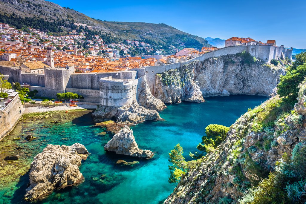 dalmatian-coast Synergy - Dalmatian Coast